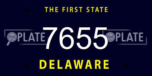 7655 Delaware License Plate