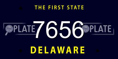 7656 Delaware License Plate