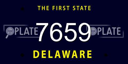 7659 Delaware License Plate