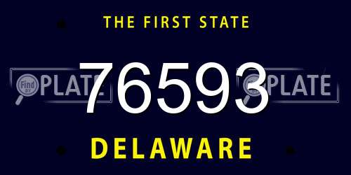 76593 Delaware License Plate