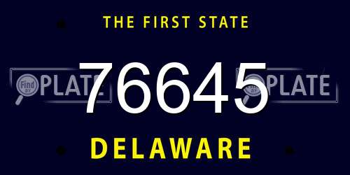 76645 Delaware License Plate