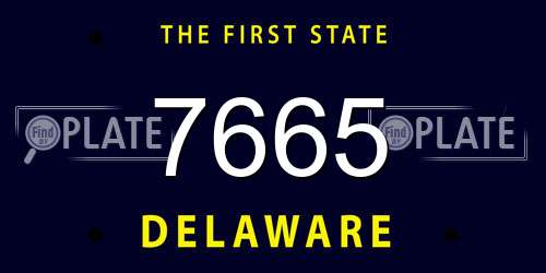 7665 Delaware License Plate