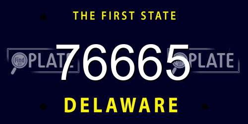 76665 Delaware License Plate