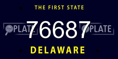 76687 Delaware License Plate
