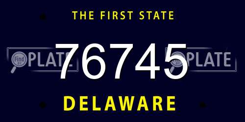 76745 Delaware License Plate