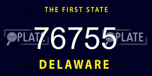 76755 Delaware License Plate