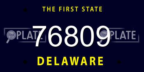 76809 Delaware License Plate