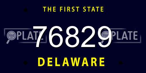 76829 Delaware License Plate