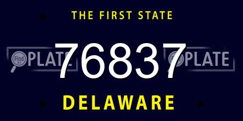 76837 Delaware License Plate