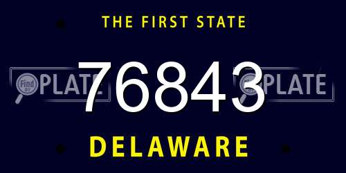 76843 Delaware License Plate