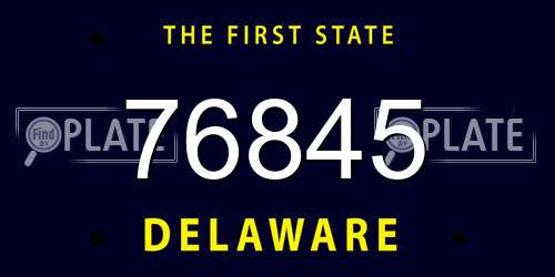 76845 Delaware License Plate