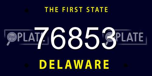 76853 Delaware License Plate