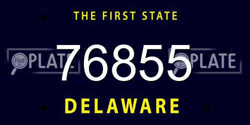76855 Delaware License Plate