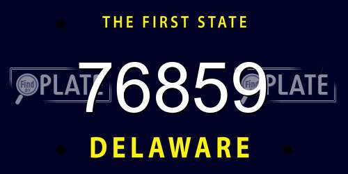 76859 Delaware License Plate
