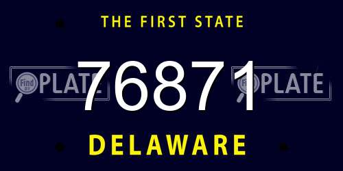76871 Delaware License Plate
