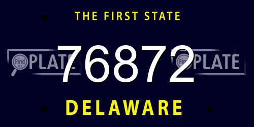 76872 Delaware License Plate