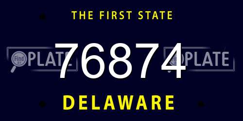 76874 Delaware License Plate