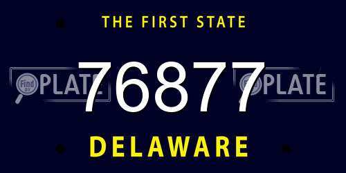 76877 Delaware License Plate