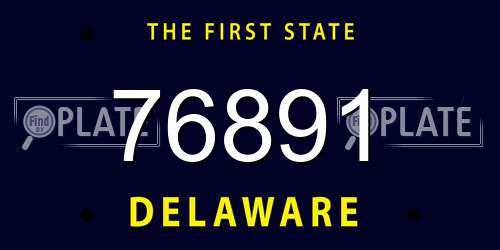 76891 Delaware License Plate
