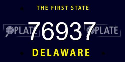 76937 Delaware License Plate