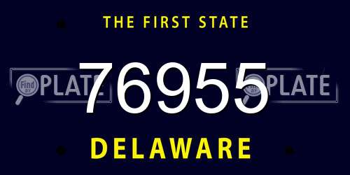 76955 Delaware License Plate