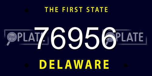 76956 Delaware License Plate