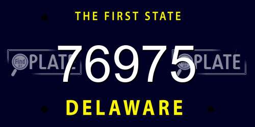 76975 Delaware License Plate