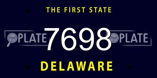 7698 Delaware License Plate
