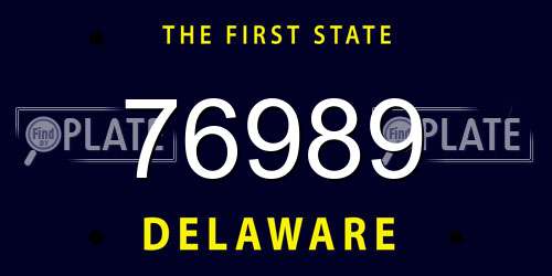 76989 Delaware License Plate
