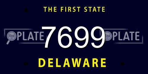 7699 Delaware License Plate
