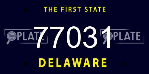77031 Delaware License Plate