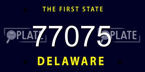 77075 Delaware License Plate