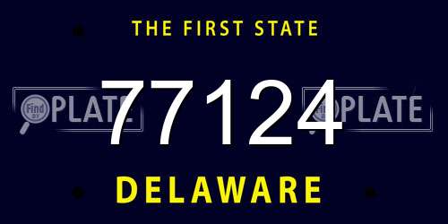 77124 Delaware License Plate
