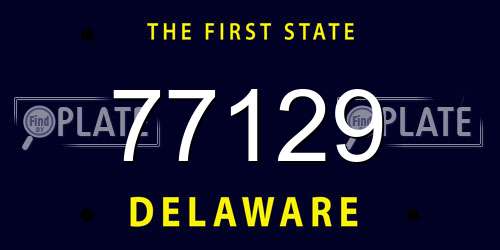 77129 Delaware License Plate
