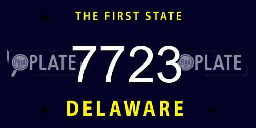 7723 Delaware License Plate
