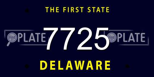 7725 Delaware License Plate
