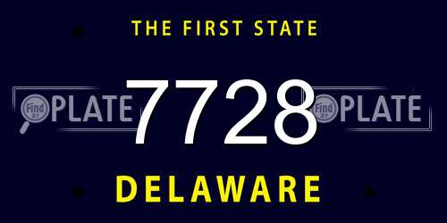 7728 Delaware License Plate