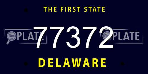 77372 Delaware License Plate