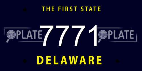 7771 Delaware License Plate