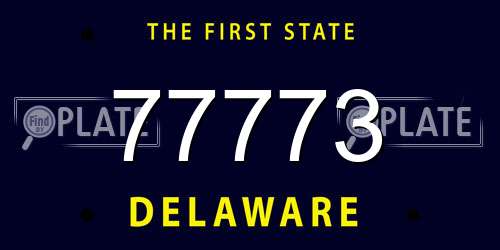 77773 Delaware License Plate