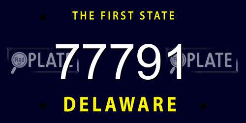 77791 Delaware License Plate
