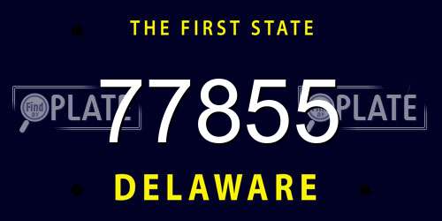 77855 Delaware License Plate