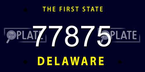 77875 Delaware License Plate