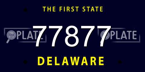 77877 Delaware License Plate