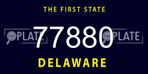 77880 Delaware License Plate