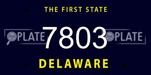 7803 Delaware License Plate