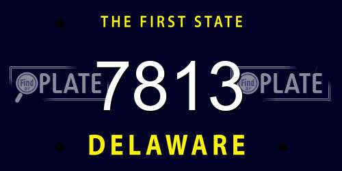 7813 Delaware License Plate