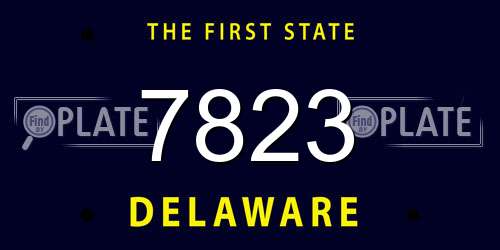 7823 Delaware License Plate