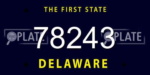 78243 Delaware License Plate