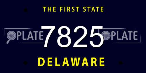 7825 Delaware License Plate
